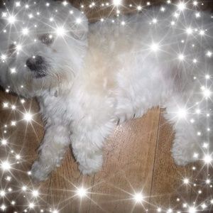 Meet your Posher, Susan